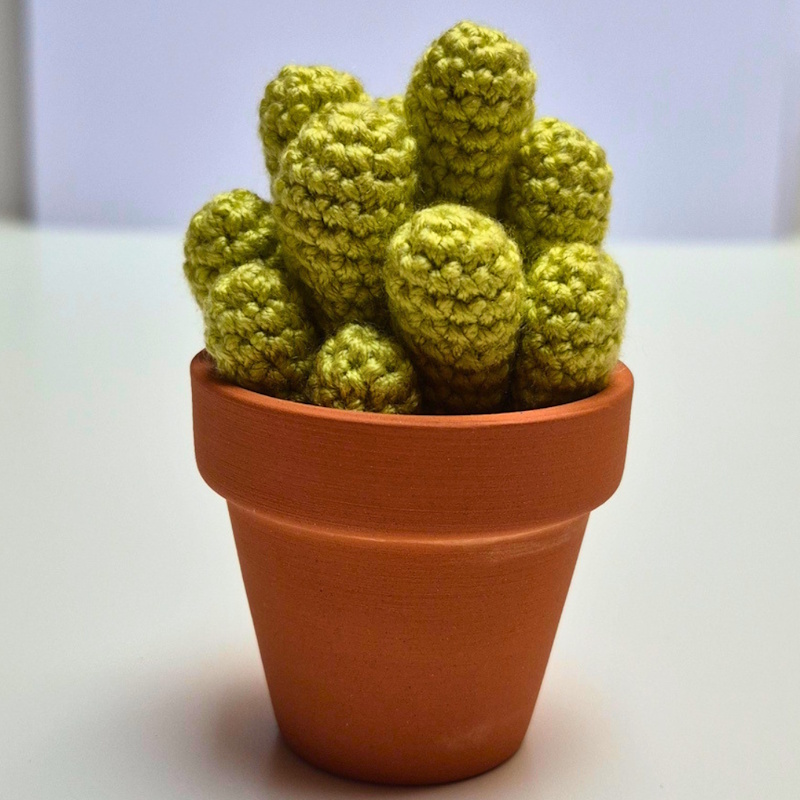Crochet Cactus Fairy Castle home decoration