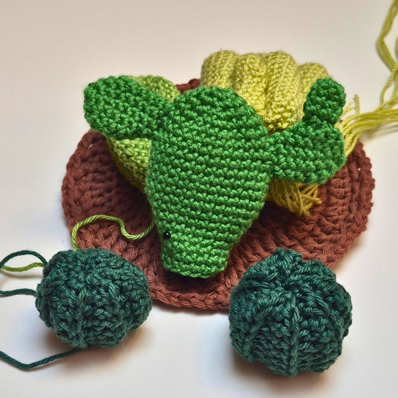 Layout of crochet cactus set